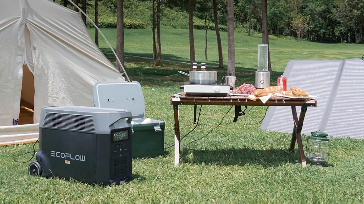ecoflow delta pro portable power station